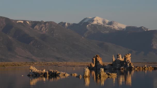 Pássaros voando sobre Mono Lake ao nascer do sol — Vídeo de Stock