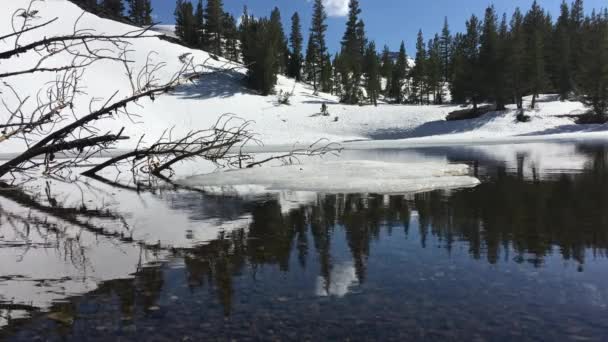 Ellery jezero poblíž Tioga Pass Kalifornie Usa — Stock video