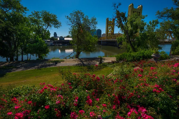 Tower Bridge Sacramento California — Stock Photo, Image