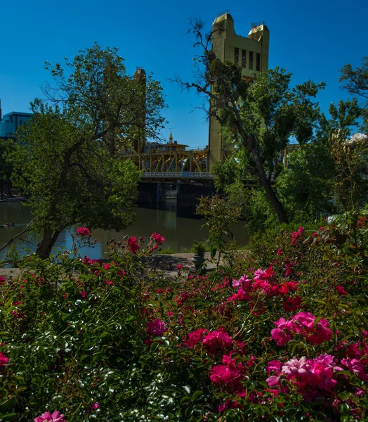 Sacramento Ciudad del Capitolio de California —  Fotos de Stock