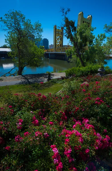 Sacramento Capitol stad van Californië — Stockfoto