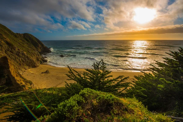 Grijze walvis Cove Beach Californië — Stockfoto