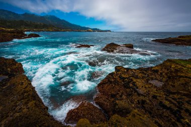 Point Lobos State Park California clipart