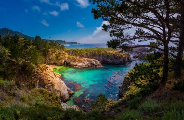 noktası Lobos state park california