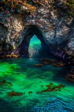 noktası Lobos state park california