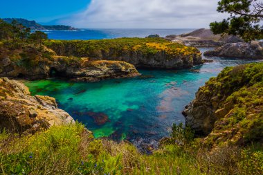 noktası Lobos state park california