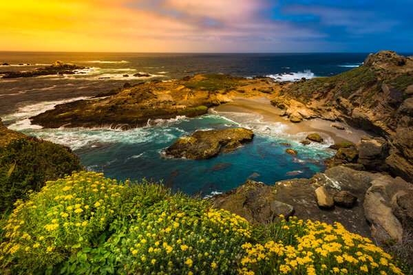 Point Lobos State Park California