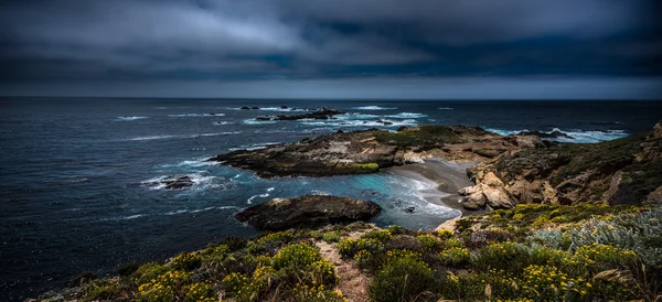 Point lobos state park kalifornien — Stockfoto