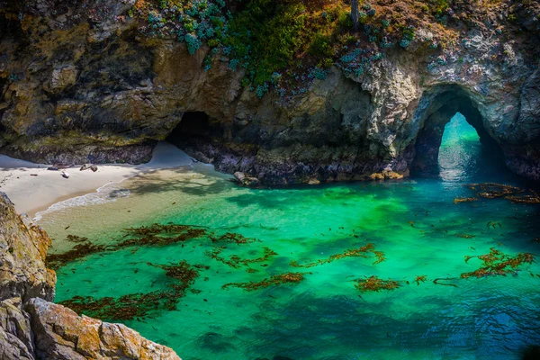 Point Lobos State Park California — Stock Photo, Image