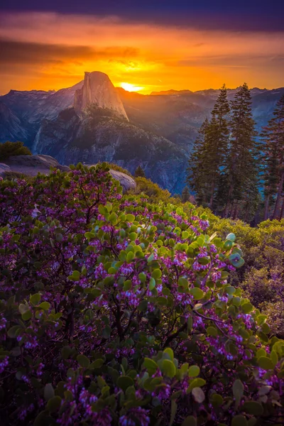 Yosemite National Park Sunrise Glacier Point — Stockfoto