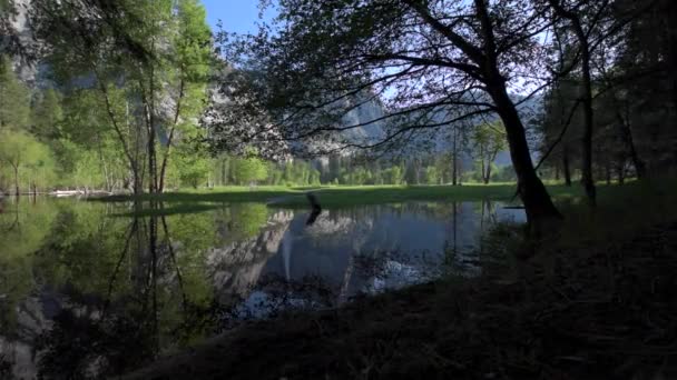 Yosemite Falls yansıma Merced River gündoğumu Milli Parkı, Kaliforniya — Stok video