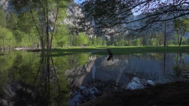 Yosemite Falls yansıma Merced River gündoğumu Milli Parkı, Kaliforniya