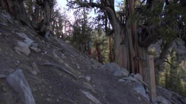 Hiking ihtiyar adam iz döngü 