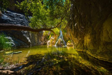 Darwin Falls Ölüm Vadisi 