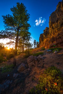 Red Canyon Bryce at Sunset yakınında