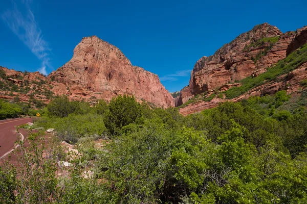 Route panoramique de canyons de Kolob — Photo