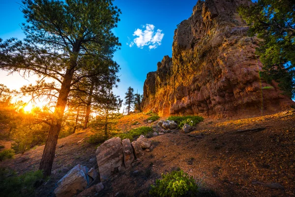 Red Canyon vicino Bryce al tramonto — Foto Stock