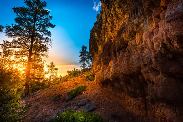 Red Canyon near Bryce at Sunset — Stock Photo, Image