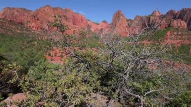 Kolob kanyonlar Zion National Park