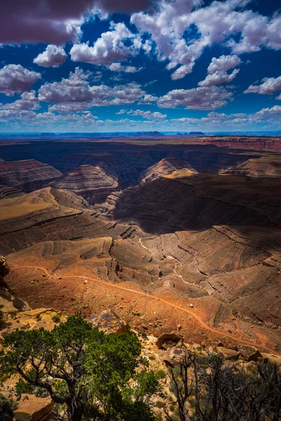 Muley Point pasa por alto el sombrero mexicano UT — Foto de Stock