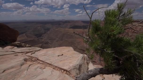 Muley Point Overlook Mexican Hat UT low wide angle dolly shot — Stock Video