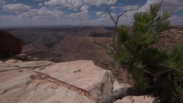 Muley Point Overlook Chapéu mexicano UT baixo ângulo largo boneca tiro — Vídeo de Stock