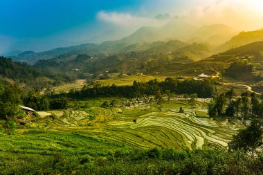 Hoang Lien Oğlu Dağları 'nda Sa Pa Vietnam pirinç terasları 