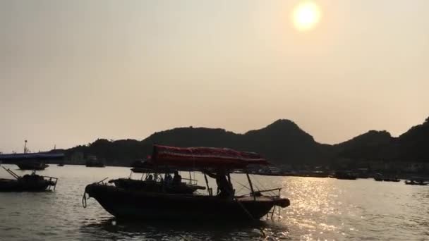 Cat Ba Viethan Harbour vid solnedgången — Stockvideo