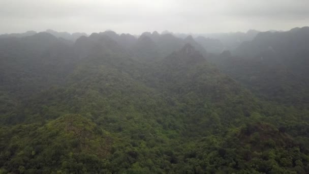 Halong Mountains Cat Ba, vista do pico Ngu Lam na floresta Kim Giao — Vídeo de Stock