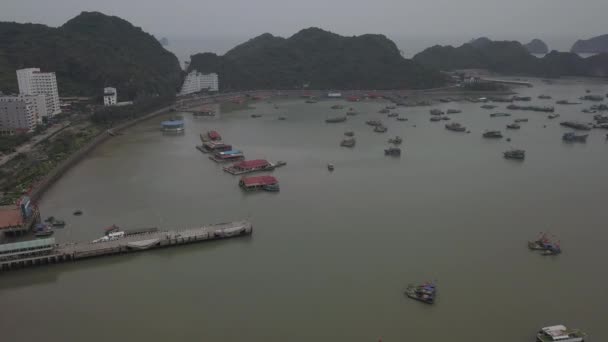 Cat Ba Island Vietnam — Stock video