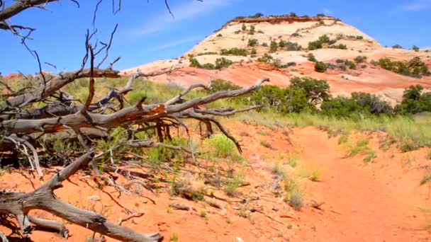 Trail to Aztec Butte — Stock Video