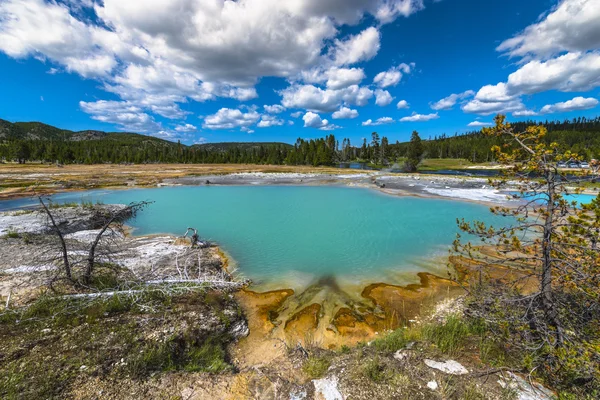 Wall Pool in Biscuit Basin Yellowstone — Stock Photo, Image