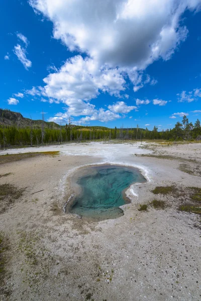 Biscuit Geyser Basin — Stock Photo, Image