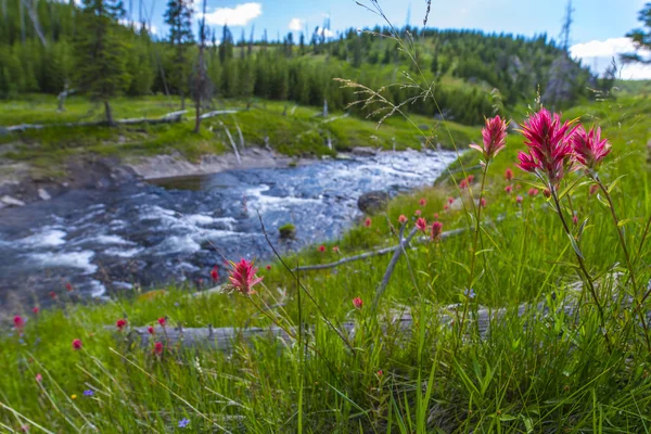 Little firehole river in de buurt van de mysticus valt — Stockfoto