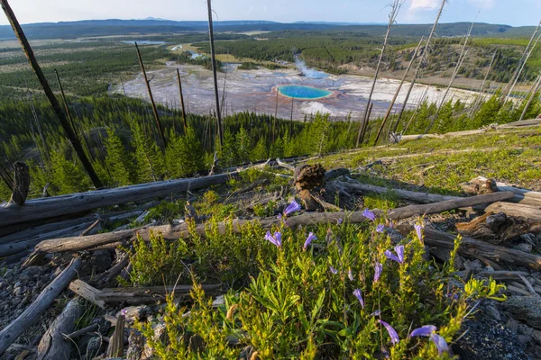 Grand Prismatic Yellowstone National Park — Stock Photo, Image