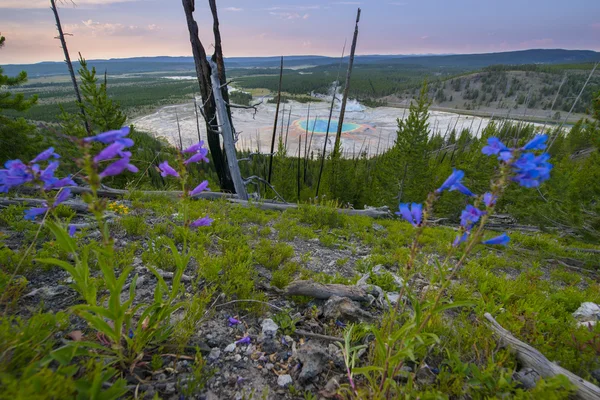 Grand prismatic yellowstone Nationaalpark — Stockfoto