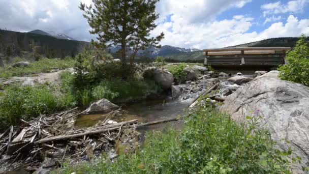 Flödande creek och liten bro nära sprague lake — Stockvideo