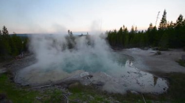 Zümrüt bahar norris Şofben