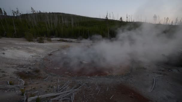 Bacia de Norris Geyser — Vídeo de Stock