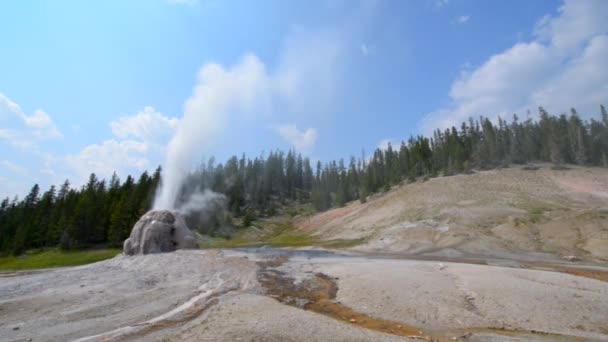 Einsamer Sterngeysir Yellowstone — Stockvideo