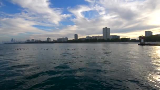 Chicago Downtown desde el lago — Vídeo de stock