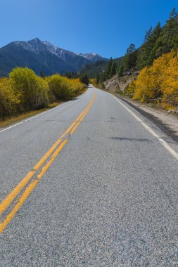 Yol Aspen Colorado Güz