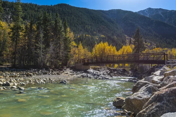 Ponte em um Fluxo Floresta Nacional de San Isabel — Fotografia de Stock