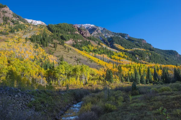 Syksy Foliage Maroon Creek lähellä Maroon Bells — kuvapankkivalokuva