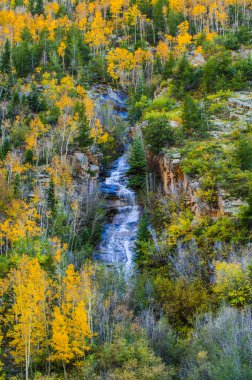 Colorado Fall Colors High Mountain water cascade   clipart