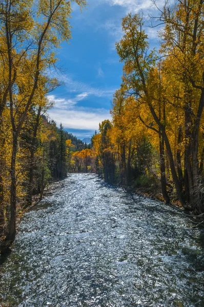 クリスタル リバーのコロラド州の秋の色 — ストック写真
