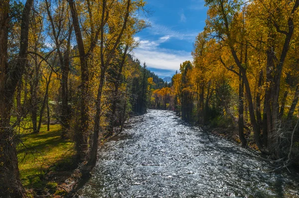 Barvy podzimu Crystal řeka Colorado — Stock fotografie