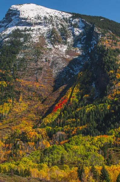 Autumn in Colorado — Stock Photo, Image