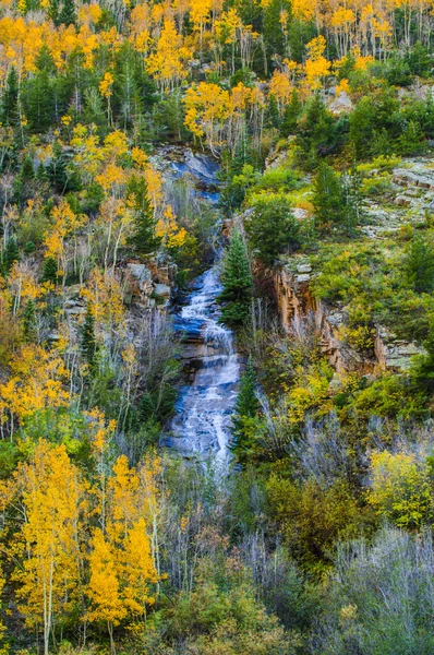 Colorado Fall Colors High Mountain water cascade — Stock Photo, Image