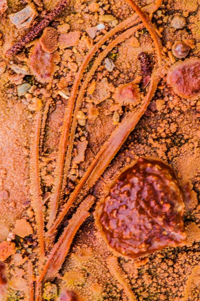 Крупный план Кристал Гейзер Юта — стоковое фото